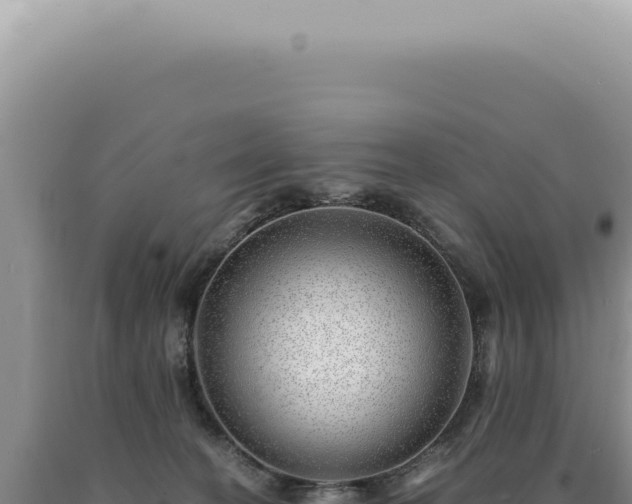 X0000090780274200707271555