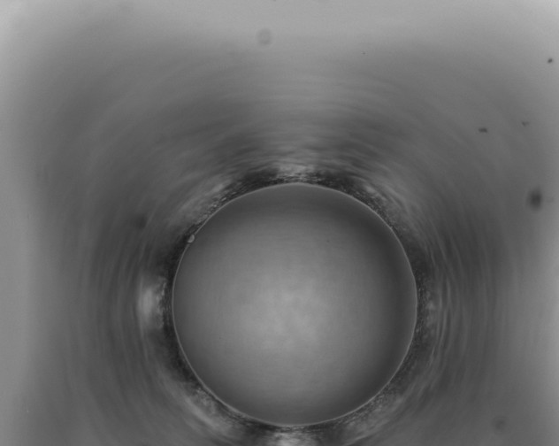 X0000090780275200707271555
