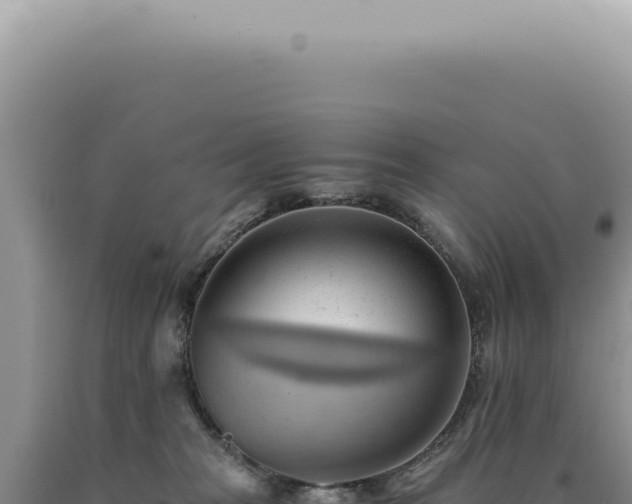 X0000090780277200707271555
