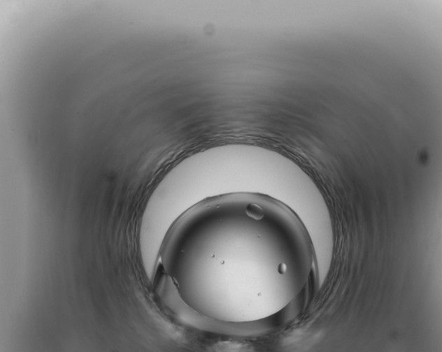 X0000090780280200707271555