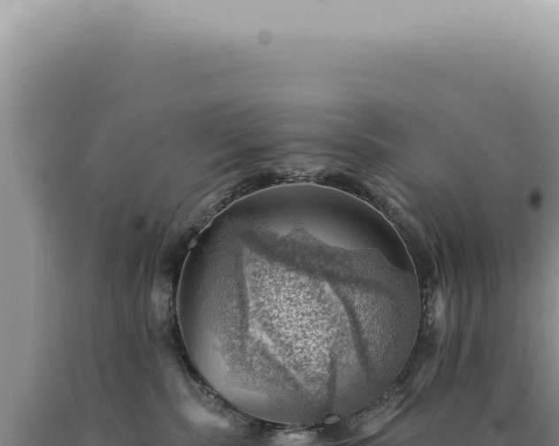 X0000090780283200707271555