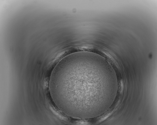 X0000090780284200707271555