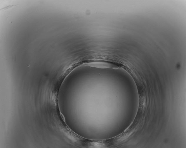 X0000090780286200707271555