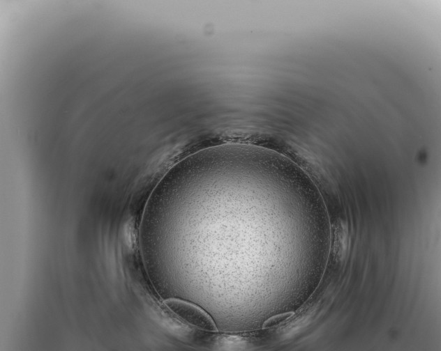X0000090780287200707271555
