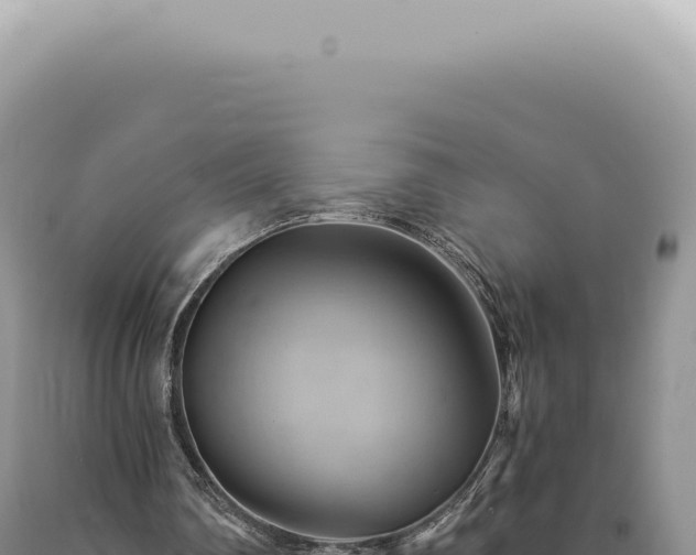 X0000090780290200707271555