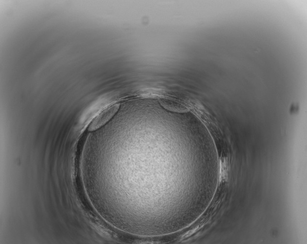 X0000090780291200707271555