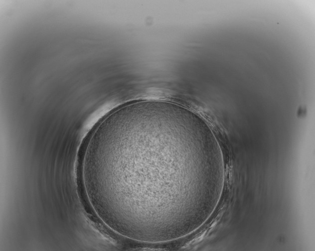 X0000090780292200707271555