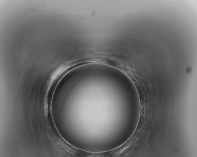 X0000090780294200707271555