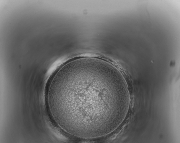 X0000090780296200707271555
