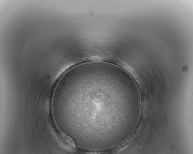 X0000090780297200707271555