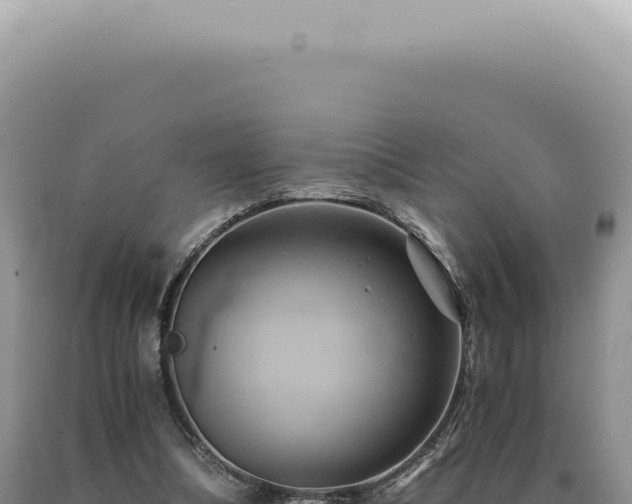 X0000090780298200707271555