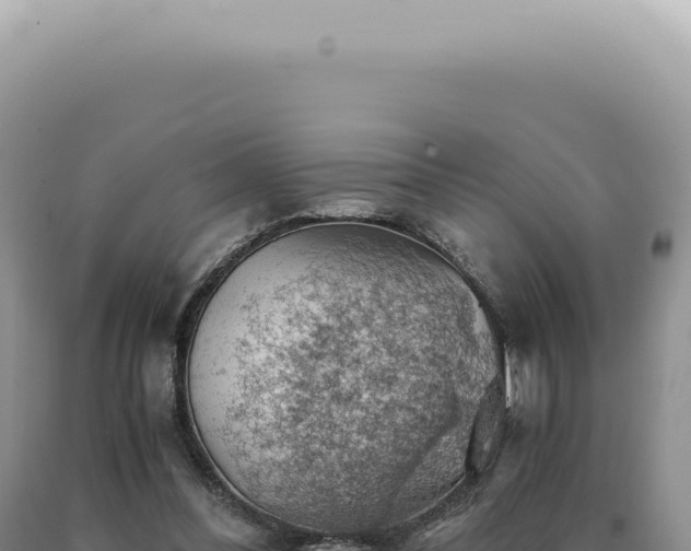 X0000090780300200707271555