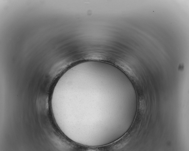 X0000090780302200707271555