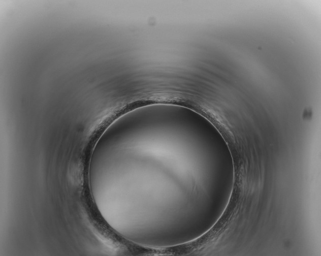 X0000090780303200707271555
