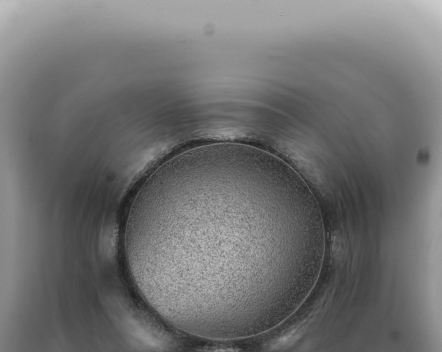 X0000090780304200707271555