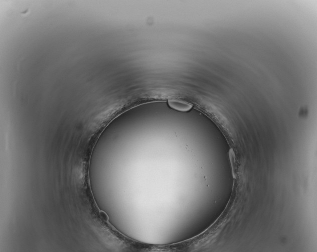X0000090780305200707271555