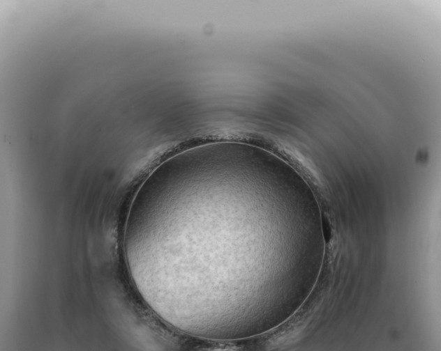 X0000090780306200707271555