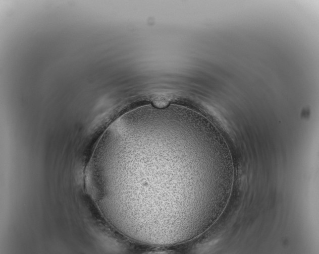 X0000090780307200707271555