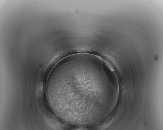 X0000090780308200707271554