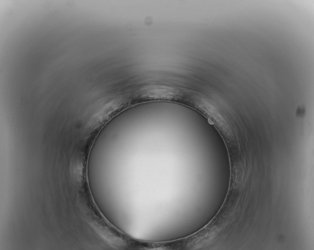 X0000090780309200707271554