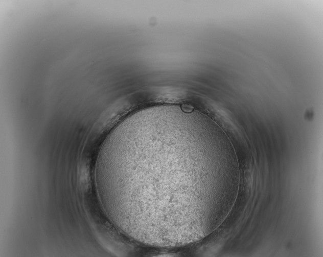 X0000090780312200707271554