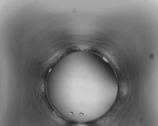 X0000090780313200707271554