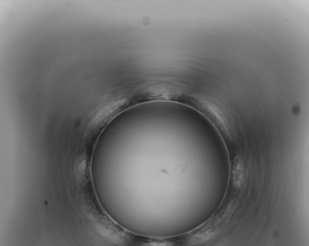 X0000090780314200707271554