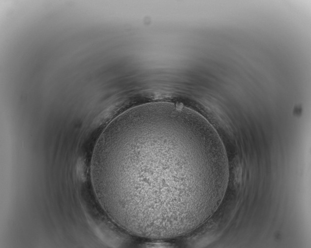 X0000090780316200707271554