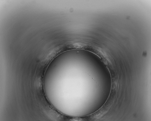 X0000090780317200707271554