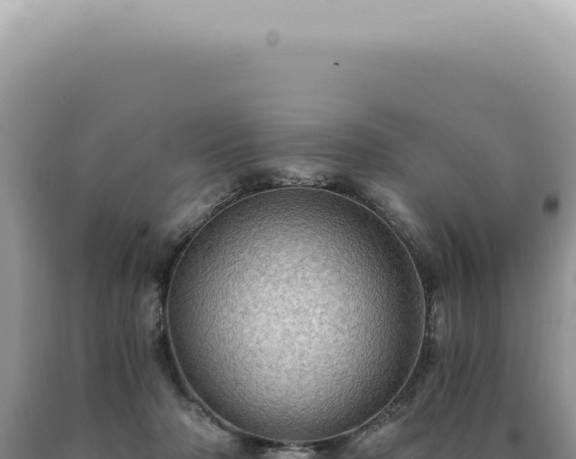 X0000090780318200707271554