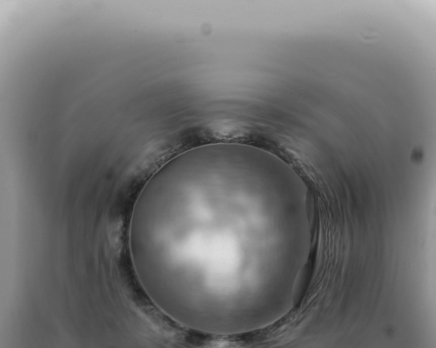 X0000090780319200707271554