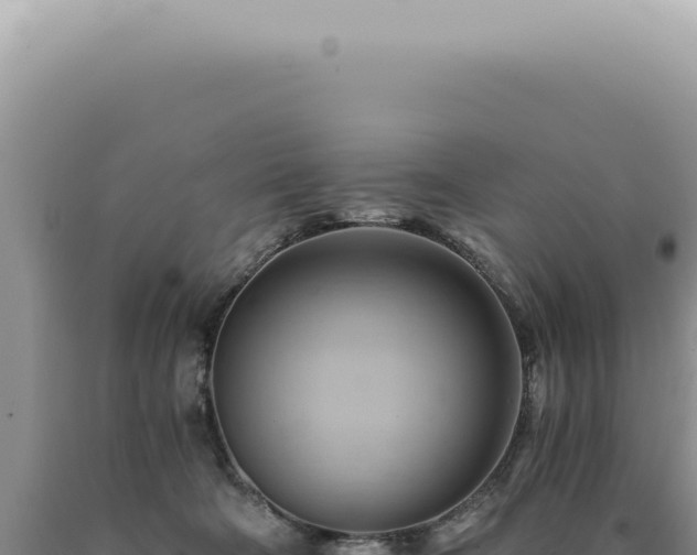 X0000090780322200707271554