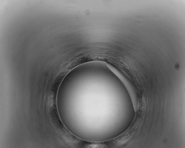 X0000090780323200707271554