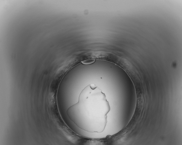 X0000090780327200707271554