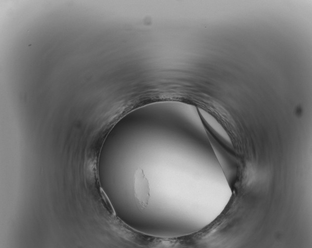 X0000090780329200707271554