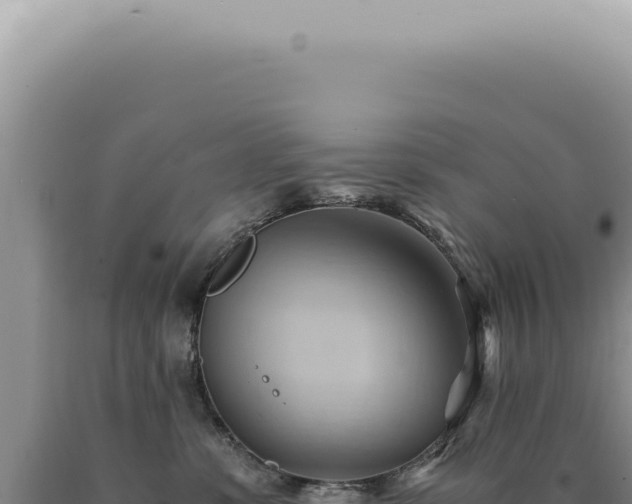 X0000090780331200707271554