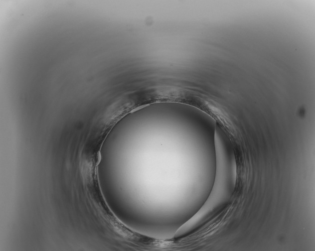 X0000090780333200707271554