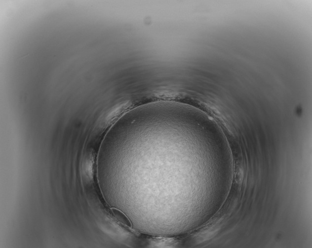 X0000090780334200707271554