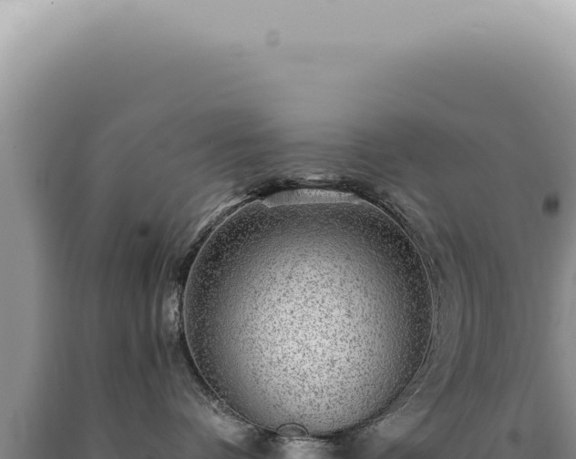 X0000090780336200707271554