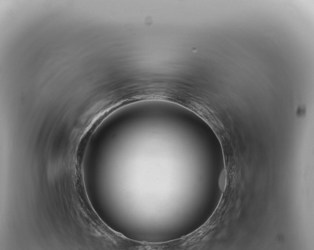 X0000090780338200707271554