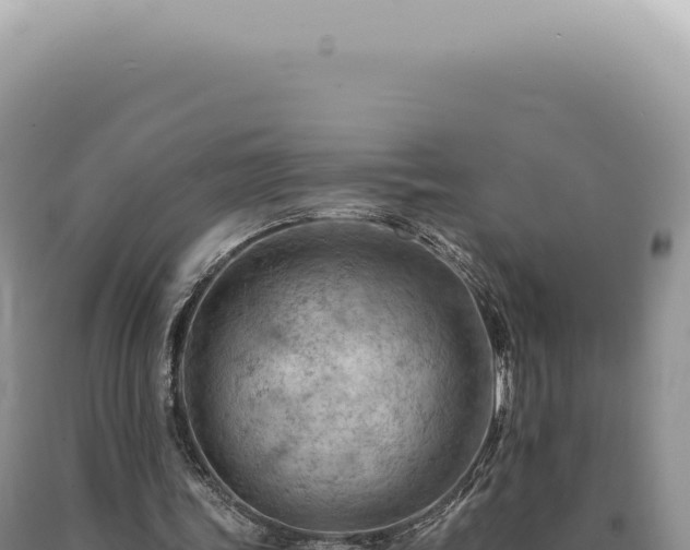 X0000090780339200707271554