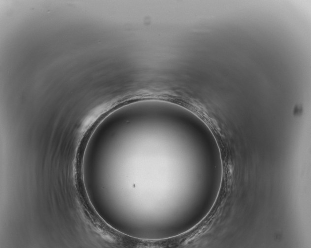 X0000090780340200707271554