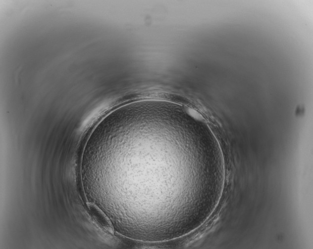 X0000090780341200707271554