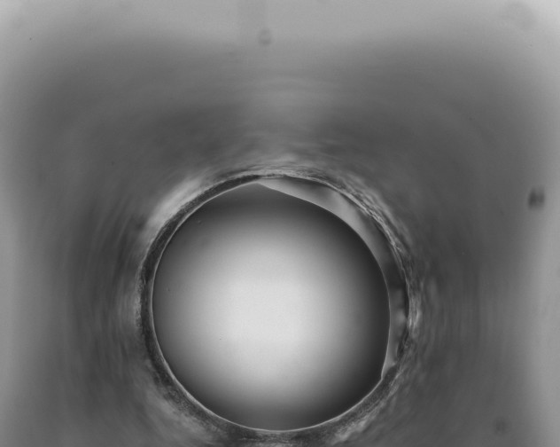 X0000090780344200707271554