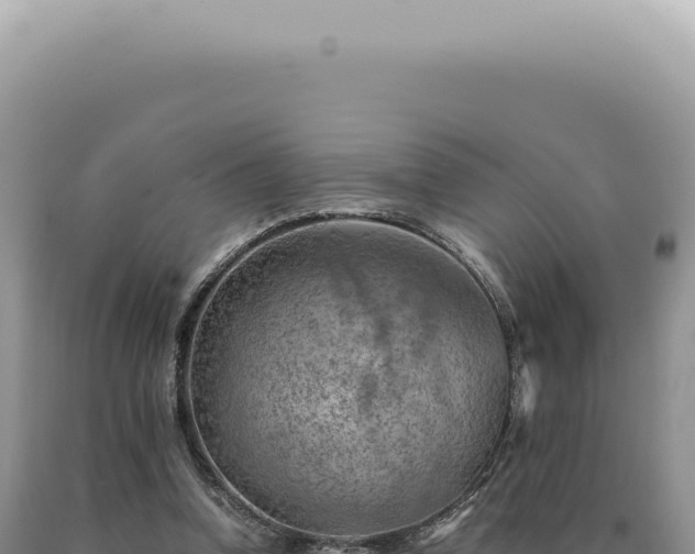 X0000090780346200707271554