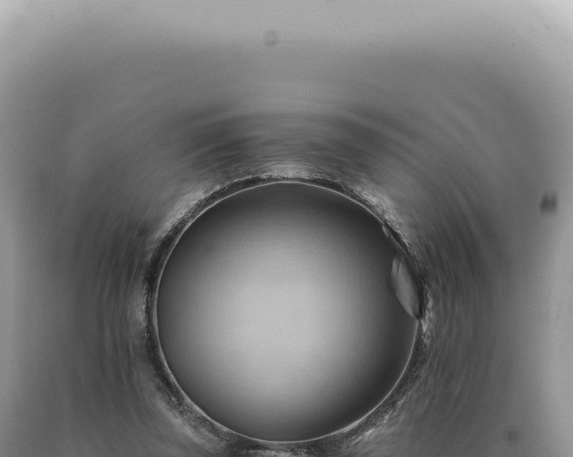X0000090780347200707271554