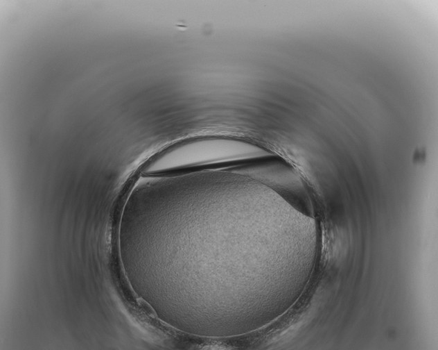 X0000090780348200707271554