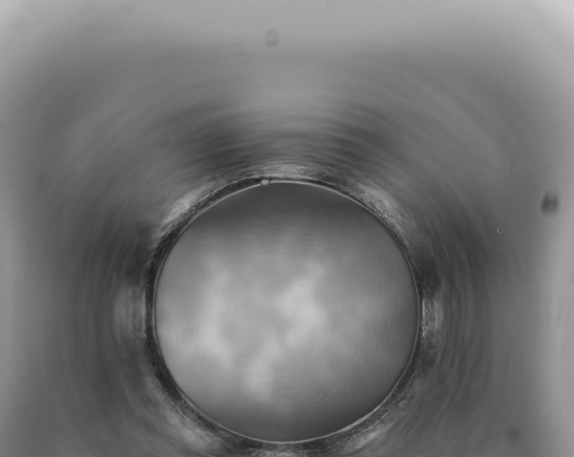 X0000090780349200707271554