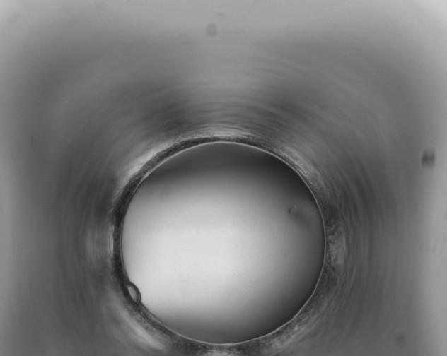 X0000090780350200707271554
