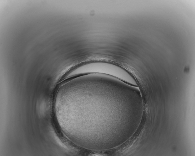 X0000090780352200707271554